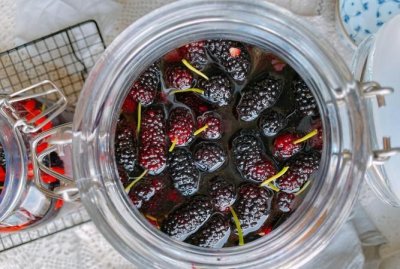 桑葚怎样泡酒,桑葚泡酒的方法和配比