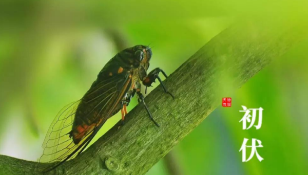 什么是庚日怎么能准确判断庚日,什么叫庚日一个庚日多少天这个公司到下一个工是多少钱图4