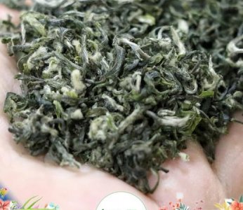 碧螺春原产地,东坡碧螺春有哪些产地?