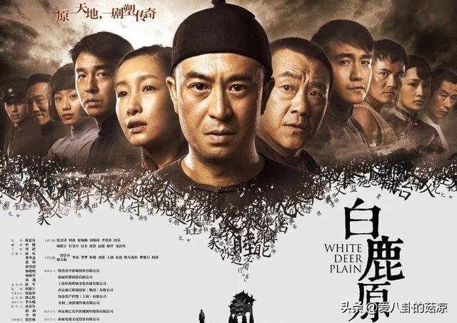 罗晋夏雨主演的电视剧（新悬疑犯罪剧来袭）(2)