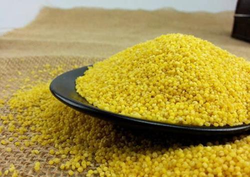 健忘吃什么补充记忆力(健忘的你多吃这9种食物)(8)