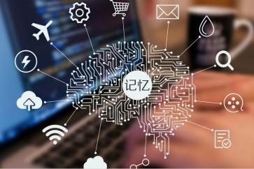 健忘吃什么补充记忆力(健忘的你多吃这9种食物)(1)