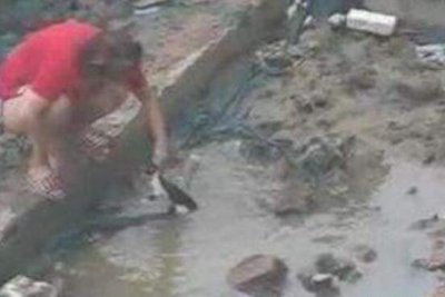 ​北京男女水坑虐猫事变，屡次举起猫往水坑里摔_残酷极端