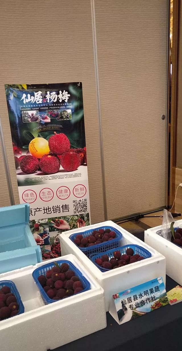 杨梅什么时候成熟，龙海杨梅什么时候成熟？图4