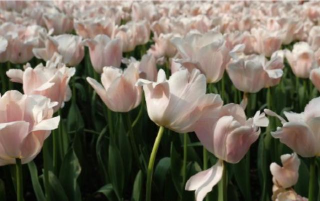 今天杭州高速路上堵车情况怎么样（平均车速3码刚刚）(9)