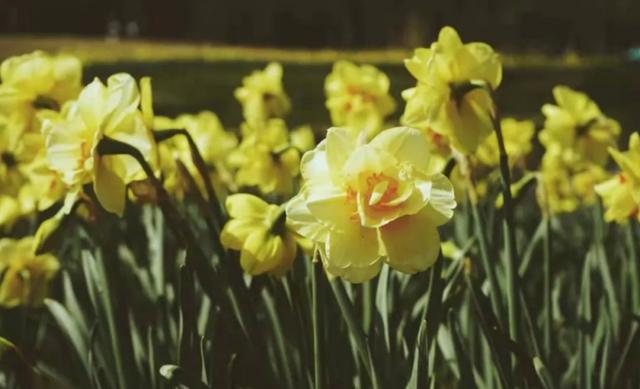 今天杭州高速路上堵车情况怎么样（平均车速3码刚刚）(10)