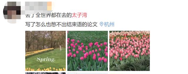 今天杭州高速路上堵车情况怎么样（平均车速3码刚刚）(2)