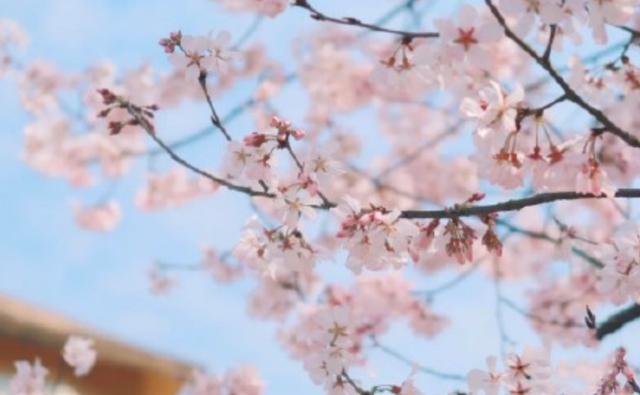 今天杭州高速路上堵车情况怎么样（平均车速3码刚刚）(11)