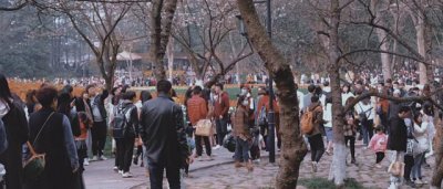 ​今天杭州高速路上堵车情况怎么样（平均车速3码刚刚）