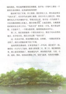 鸟的天堂课文原文(语文课文鸟的天堂)