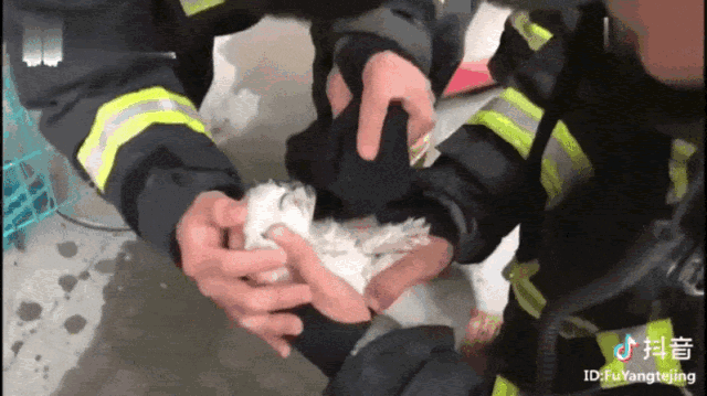 狂飙大结局安欣和谁在一起了 安欣的身份不止一个(15)