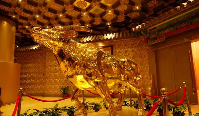 华西 第一村（所有村民都搬到了天上）(6)