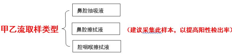 甲流和乙流的症状如何区分（甲流乙流傻傻分不清）(3)