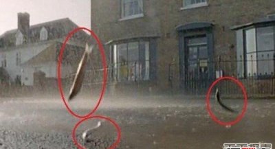 ​天左右鱼雨是果然吗，强劲海卷风引爆空中落鱼_视频