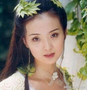 ​王艳演过的电视剧，李佳璘和王艳合(王艳什么电视剧)