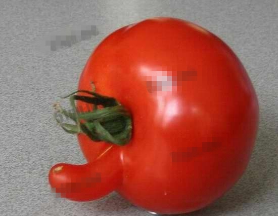 长相奇异的蔬菜：那些长的像男生鸡鸡的蔬菜，18禁图片！