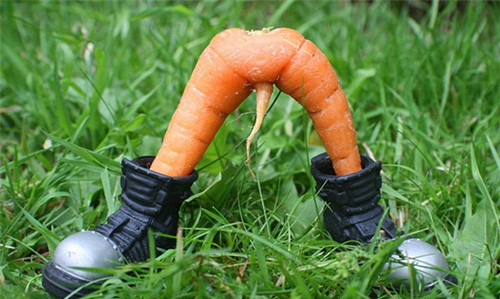 长相奇异的蔬菜：那些长的像男生鸡鸡的蔬菜，18禁图片！