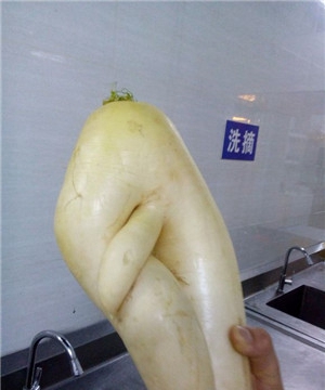 长相奇异的蔬菜：那些长的像男生鸡鸡的蔬菜，18禁图片！