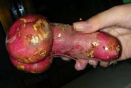 长相奇异的蔬菜：那些长的像男生鸡鸡的蔬菜，18禁图片！