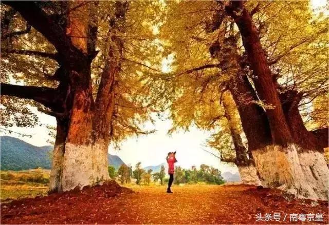 清远连州十大景点大全（粤北有座低调的千年古城）(24)