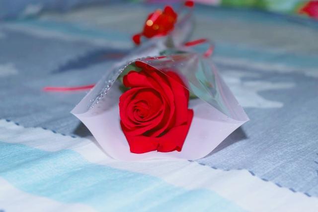 亚当和夏娃在伊甸园里的故事(爱情故事的背后是对人类文明的深思)(3)