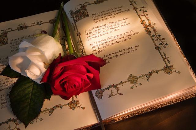 亚当和夏娃在伊甸园里的故事(爱情故事的背后是对人类文明的深思)(4)