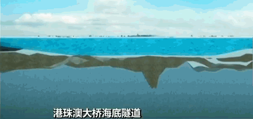 港珠澳大桥开通的价值意义（港珠澳大桥正式开通）(3)