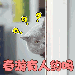 清远有什么地方适合户外爬山（清明爬山踏青送你一份）(3)