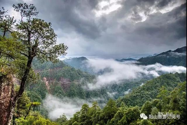 清远有什么地方适合户外爬山（清明爬山踏青送你一份）(14)