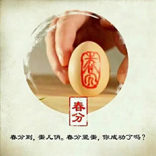 今日春分你立蛋了吗（春分到蛋儿俏）(3)