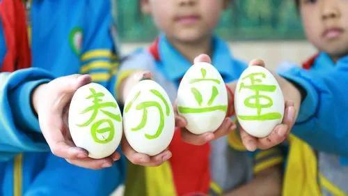 今日春分你立蛋了吗（春分到蛋儿俏）(2)