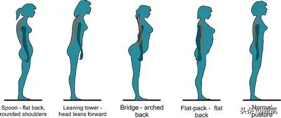 刘亦菲扁头圆头对比图(原来刘亦菲斜方肌粗大还脖子前伸的原因)(22)