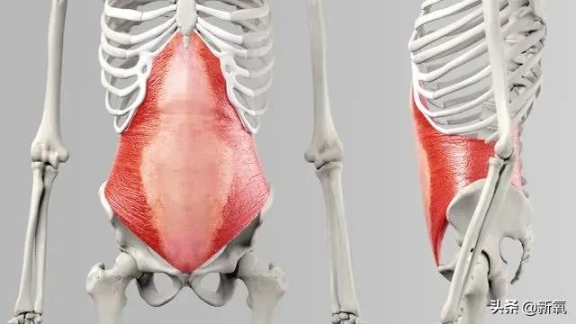 刘亦菲扁头圆头对比图(原来刘亦菲斜方肌粗大还脖子前伸的原因)(17)