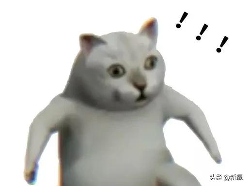 刘亦菲扁头圆头对比图(原来刘亦菲斜方肌粗大还脖子前伸的原因)(16)