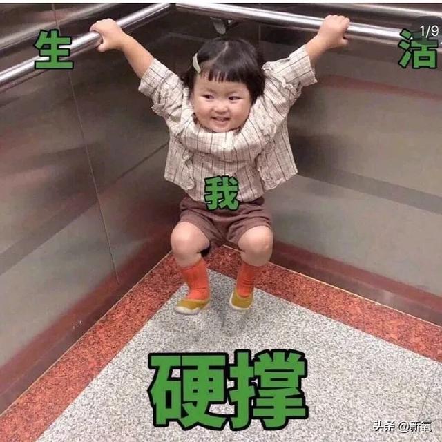 刘亦菲扁头圆头对比图(原来刘亦菲斜方肌粗大还脖子前伸的原因)(10)