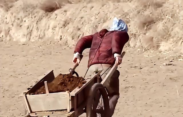 林依轮与长子林子濠(隐形富豪林子濠)(30)