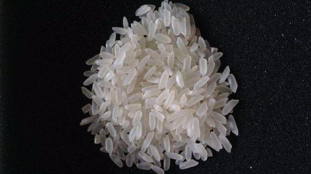 五常大米百科简介(五常大米从假米)(2)