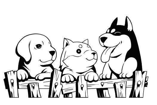 五常大米百科简介(五常大米从假米)(6)