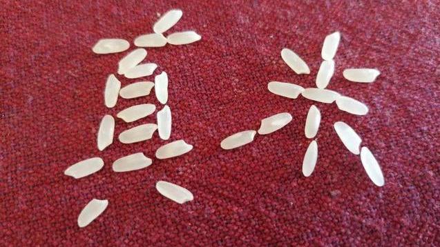 五常大米百科简介(五常大米从假米)(3)