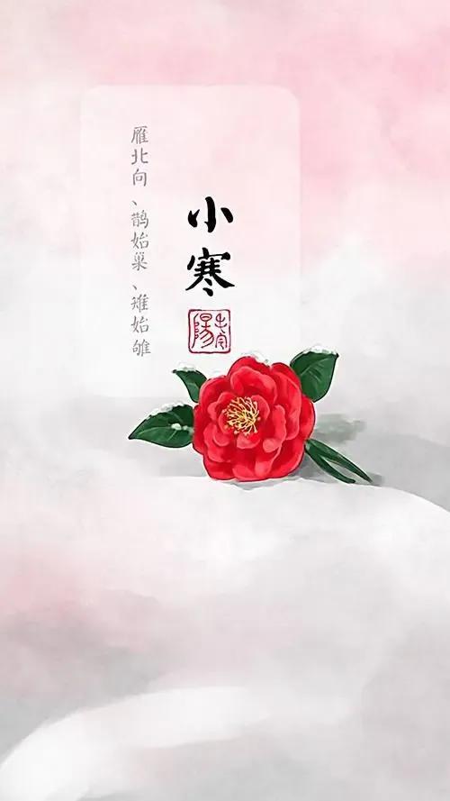 小寒节气经典短信祝福语(小寒节气祝福语精选)(1)