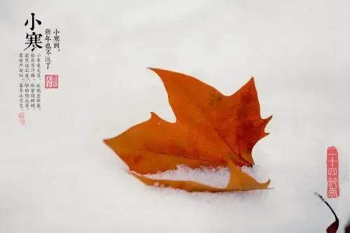 小寒节气经典短信祝福语(小寒节气祝福语精选)(6)