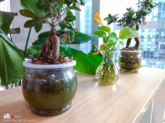 小辣椒3配置参数(千元内手感最好的手机)(22)