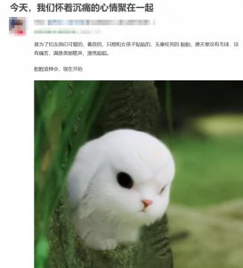 全网追上头,她凭什么爆火?