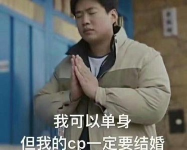 ​CP是什么意思网络用语梗的出处介绍 饭圈用语cp的意思介绍