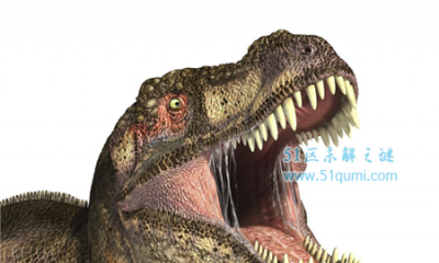 ​世界上咬协力最强的动物排行榜：老虎都排没有上名次