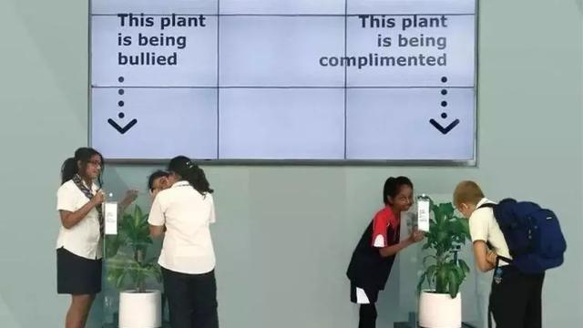 和电锯人差不多的番剧（九把刀的这部新作）(3)