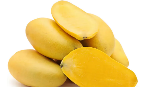 金煌芒果什么程度算熟了,如何判断芒果熟了没有图1