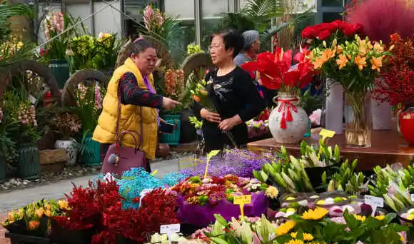 佛山春节习俗,家乡的风俗说明文图6