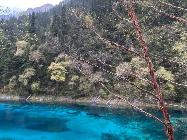 九寨沟黄龙自助游实用攻略（黄龙4日自驾游记）(42)