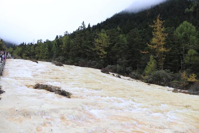 九寨沟黄龙自助游实用攻略（黄龙4日自驾游记）(73)